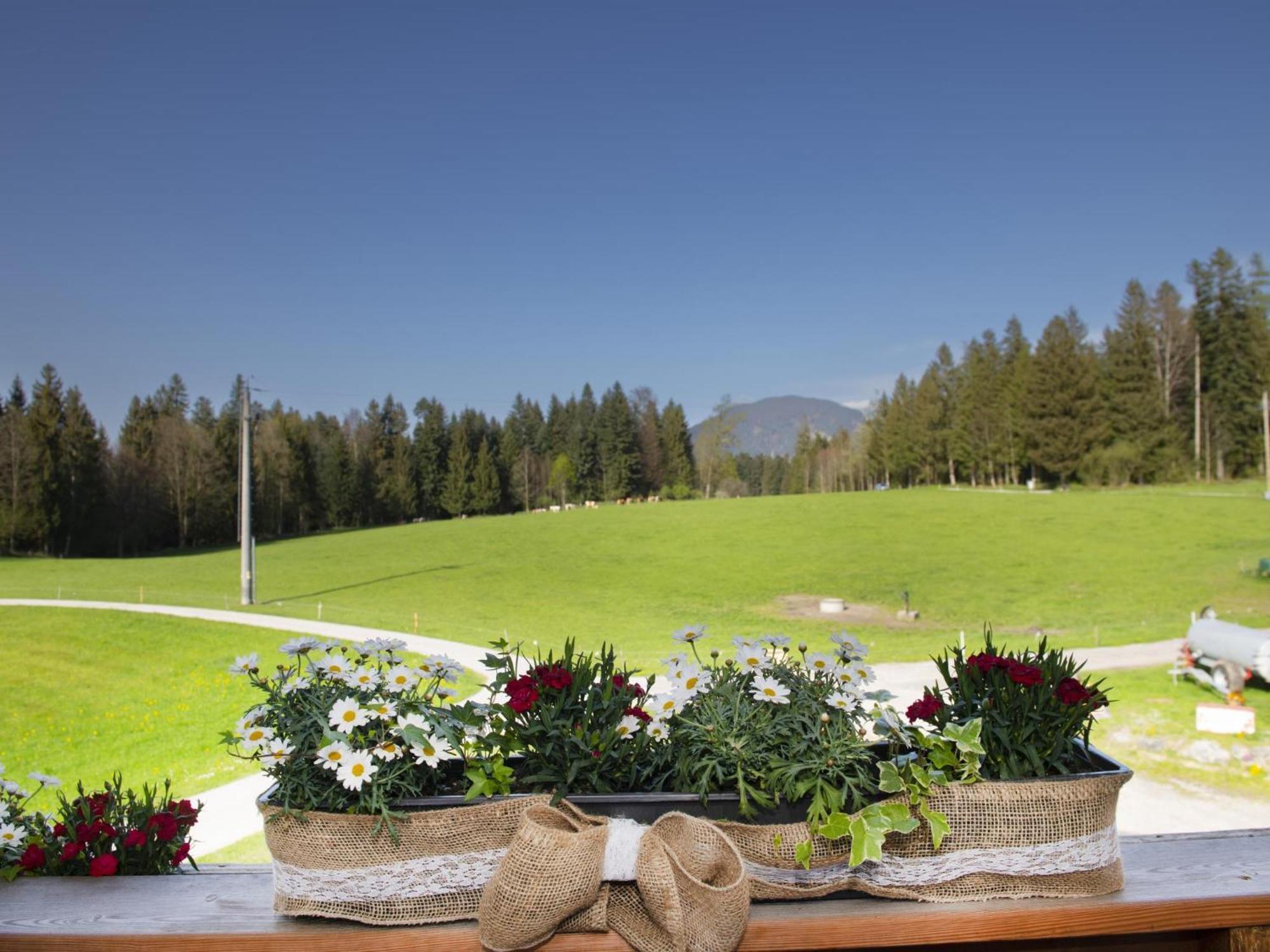 Auszeit Am Bauernhof Apartment Schwoich Екстериор снимка